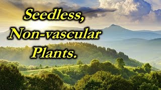 Chap 21  video  Seedless Nonvascular plants [upl. by Tlihcox293]