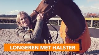 Longeren met halster  PaardenpraatTV [upl. by Idzik860]