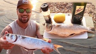 How To Catch Mullet Using A Float amp Bread  Catch N Cook [upl. by Eedoj795]