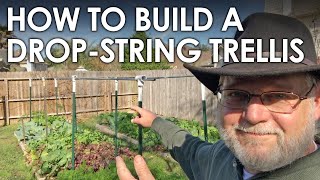 How to Build a String Trellis for Tomatoes and Cucumbers  Black Gumbo [upl. by Porcia67]