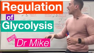 Glycolysis  Metabolism [upl. by Elem107]