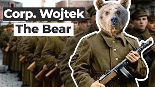 The Smoking Soldier Bear Real Footage [upl. by Tupler723]