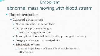 Hemodynamic Disorders [upl. by Benedikt621]