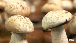 How to Make Meringue Mushrooms  CHOW Tip [upl. by Yror]