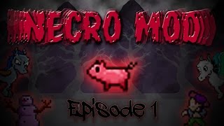 Terraria Necro Mod  Episode 1  The essence of evil [upl. by Deste90]