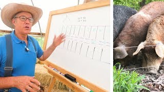 Joel Salatin Teaches Pasture Pigs for Profit [upl. by Yemaj407]