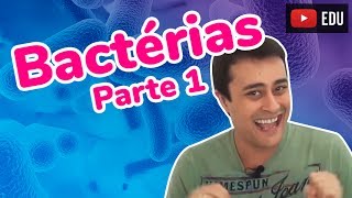 Reino Monera  Bactérias  Parte 1  Prof Paulo Jubilut [upl. by Vadnee]