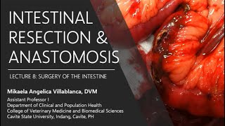 Lecture 83 Intestinal Resection and Anastomosis [upl. by Ymeon]