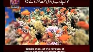 Surah Ar Rehman n° 55 Urdu amp English Translate By Qtv [upl. by Emlin]