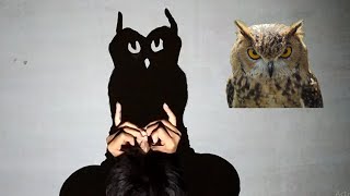 hand shadow animals III how to make cow goat owl Swan and Squid shadow [upl. by Laikeze]