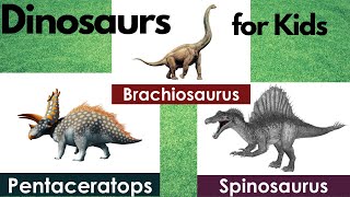 Dinosaurs Names for Kids  24 Dinosaur Names  Types Of Dinosaurs [upl. by Berga316]