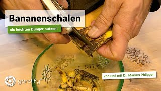 Bananenschalen als leichten Dünger nutzen  gardify Tipps [upl. by Nomar]