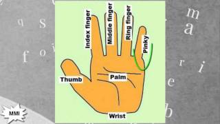 Finger Names What are Fingers Called [upl. by Ball]