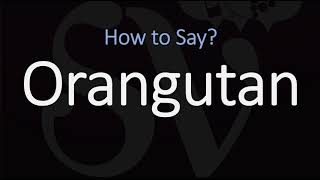 How to Pronounce Orangutan CORRECTLY [upl. by Anhpad]