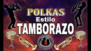 Polkas Estilo Tamborazo Para Bailar  Pala Raza Vip [upl. by Falzetta678]