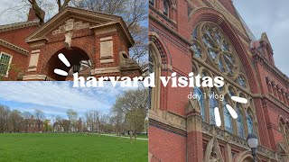 harvard visitas vlog  day 1 [upl. by Rutger]