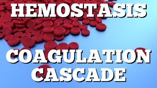 Secondary Hemostasis Coagulation Cascade Animation Made Easy [upl. by Oludoet212]