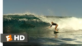 Tiger Shark Beaches Itself Onto Shore To Eat Whale Carcass [upl. by Sutsugua224]