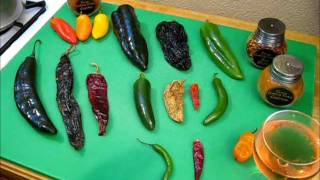 All About Chilies What you need to know S1 Ep177 [upl. by Brinson]