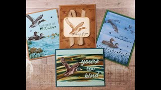 Feathered Flight Stampin Up [upl. by Yrelbmik]