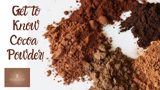 Understanding COCOA POWDER Labels Cookbooks Comparisons  Dutched vs Natural and More [upl. by Iramat]