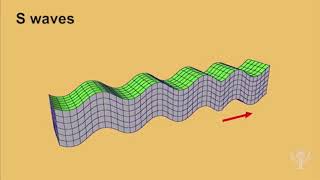 Seismic waves earthquake [upl. by Nylekoorb823]