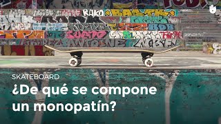 ¿Cuales son las partes de un monopatín  Skateboard [upl. by Beller469]