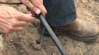 Drip Irrigation Tip  Emitter Placement [upl. by Wickner]