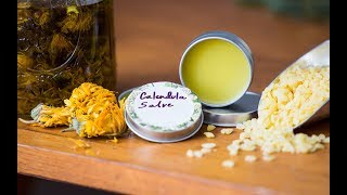 How to Make a Calendula Salve [upl. by Lorant]