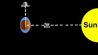 Space Science Tutorial Spring and Neap Tides [upl. by Tyne]