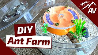 How to Build an Ant Farm  Plaster All in One Formicarium [upl. by Ujawernalo246]