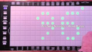 LinnStrument Panel Settings [upl. by Rebm]