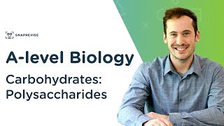 Carbohydrates Polysaccharides  Alevel Biology  OCR AQA Edexcel [upl. by Ardeha]