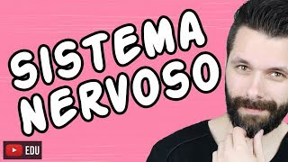 SISTEMA NERVOSO  FISIOLOGIA  Aula  Biologia com Samuel Cunha [upl. by Lledrev]