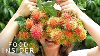 13 Extraordinary Fruits Around The World [upl. by Enileda]