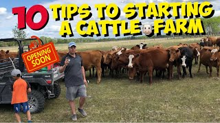 Starting a Beef Cattle Farm 10 TIPS for beginners to start a Cattle Ranch [upl. by Ijneb952]