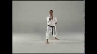 1st Kata  Taigyoku Shodan [upl. by Tyrus]