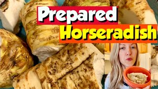 Prepared Horseradish Homemade Horseradish Recipe [upl. by Parshall]