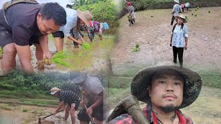 Beautiful life of farmers in Nagaland [upl. by Revart]