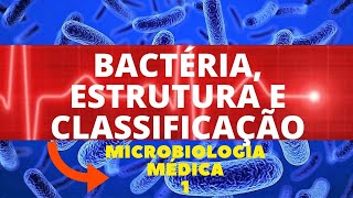 BACTÉRIA ESTRUTURA E CLASSIFICAÇÃO  MICROBIOLOGIA MÉDICA 1 [upl. by Cantone]