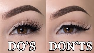 FALSE LASHES DOS amp DONTS [upl. by Tildy]