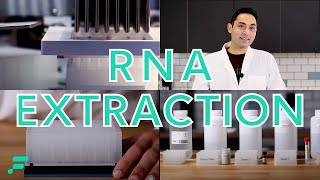 RNA Extraction Demonstration [upl. by Rhu]