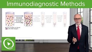 Immunodiagnostic Methods – Immunology  Lecturio [upl. by Dimmick]