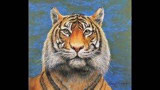 come disegnare una Tigre realistica tutorial [upl. by Eelta]