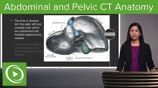 Normal Abdominal amp Pelvic CT Anatomy Algorithm – Radiology  Lecturio [upl. by Loftus]