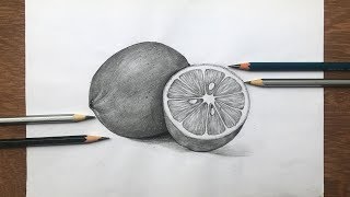 How to draw lemon in pencil sketch  still life  fruit drawing step by step [upl. by Lynad]