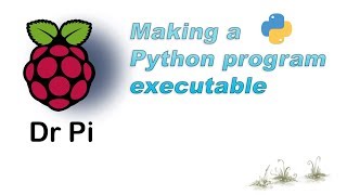 Raspberry Pi  Make a Python Script executable [upl. by Hadeehsar]