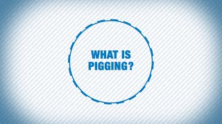 What is pigging [upl. by Lewie]