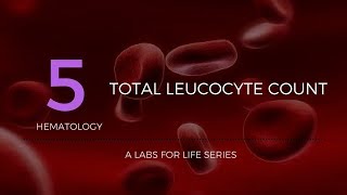 Total Leucocyte Count [upl. by Angela]