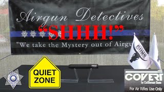 Covert quotAirgunquot Moderator by Cattleman Guns quotFull Reviewquot by Airgun Detectives [upl. by Sherard]